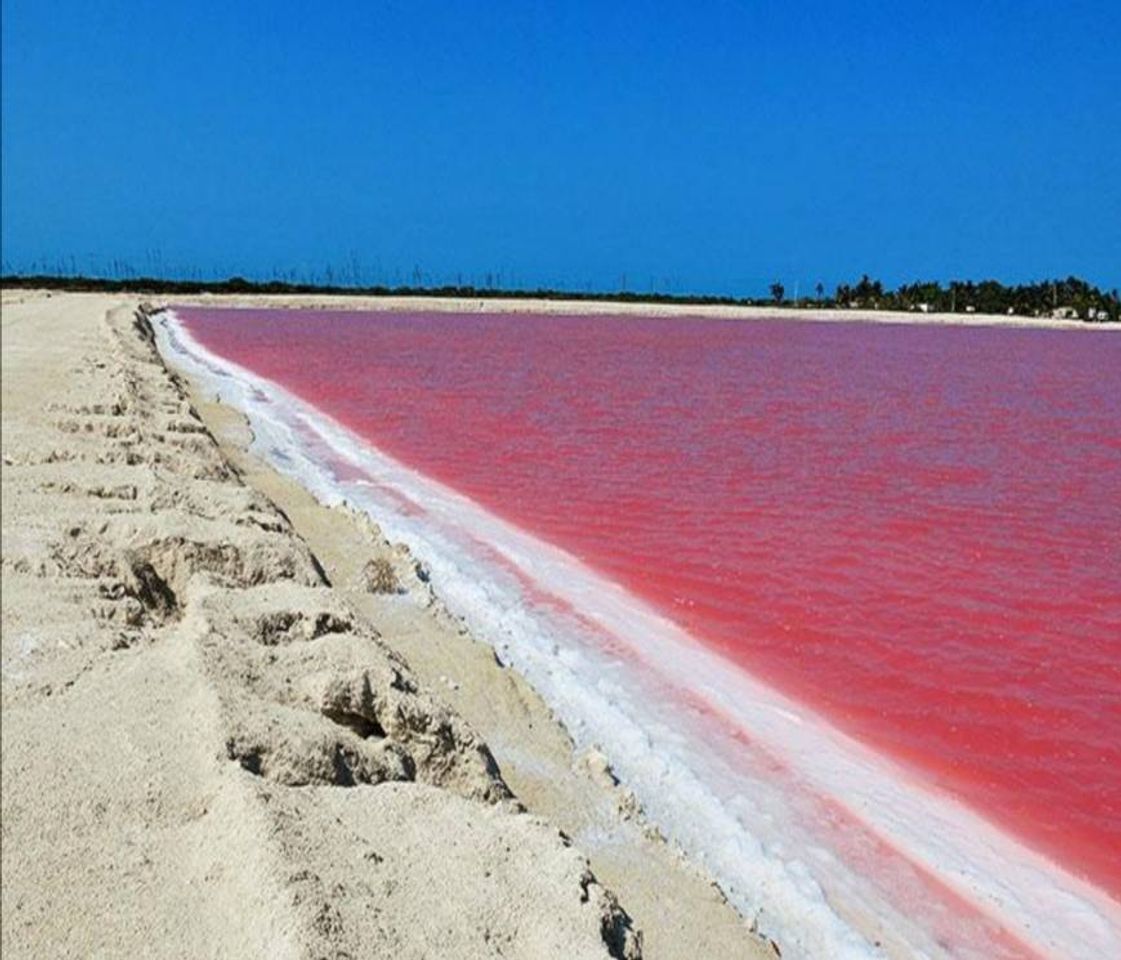 Place Las Coloradas