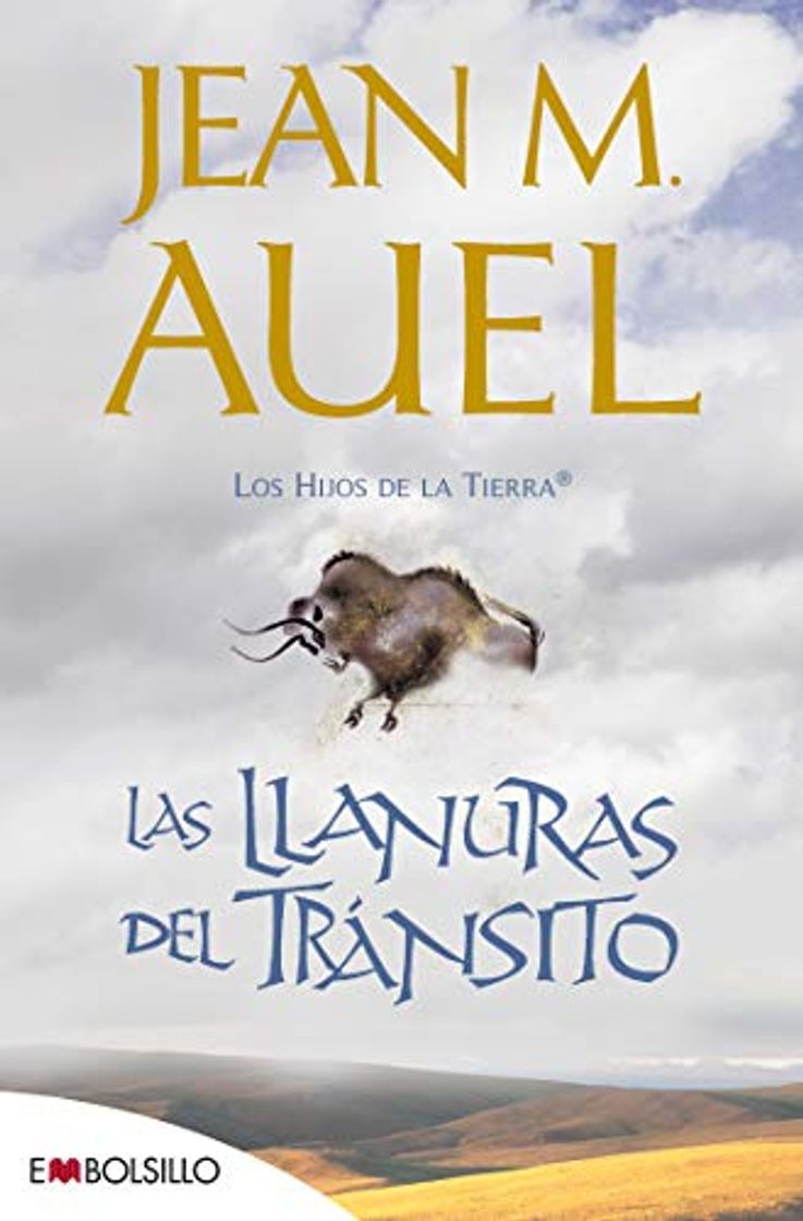 Libro Las llanuras del tránsito