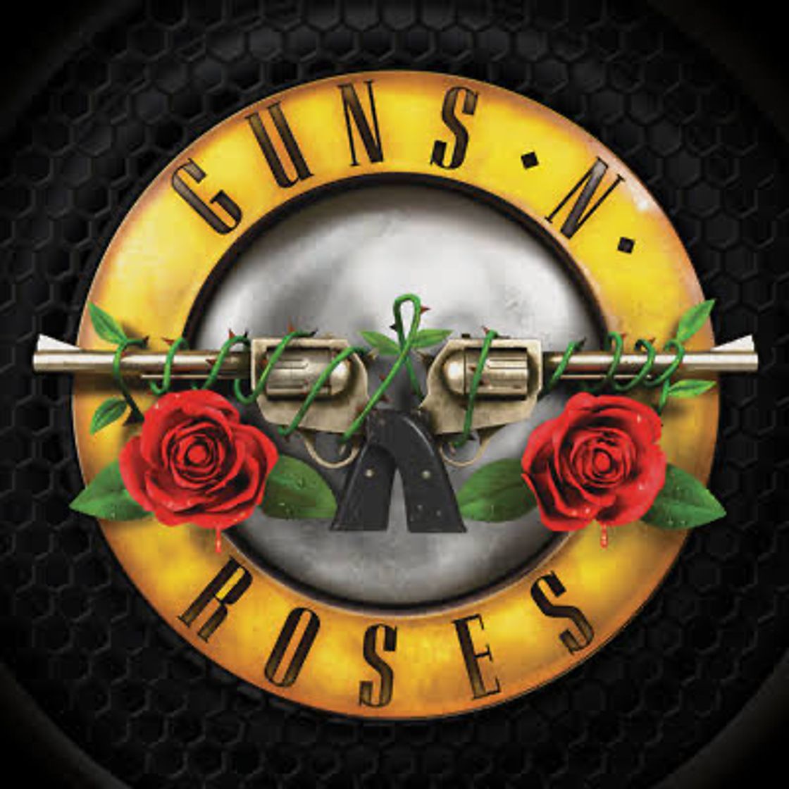 Fashion Guns N’ Roses