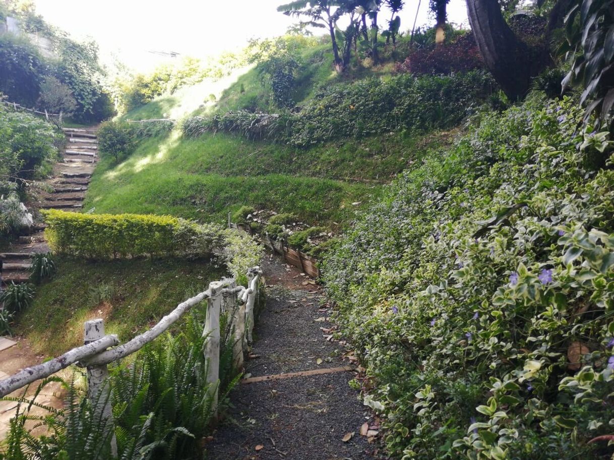 Restaurantes El barranco gt