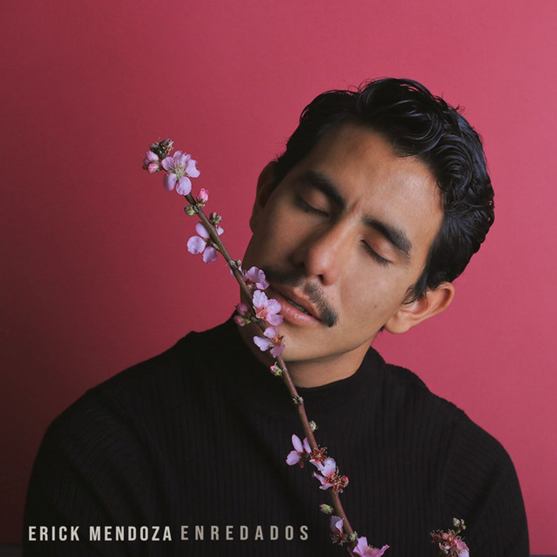 Canción Enredados