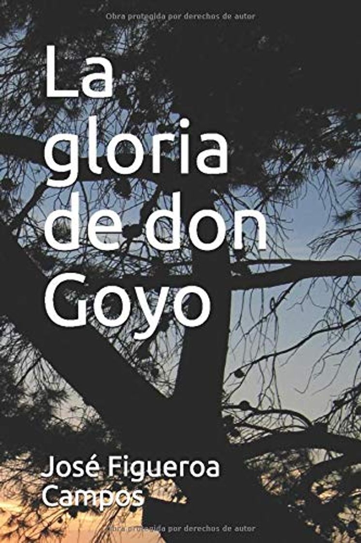 Libro La gloria de don Goyo