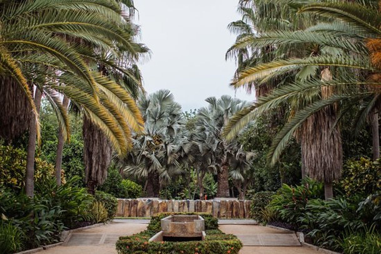 Place Jardín Botánico Culiacán