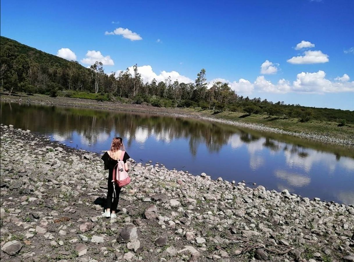 Lugar Parque Nacional El Cimatario