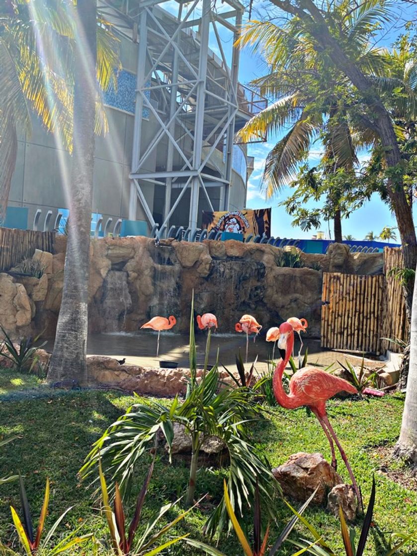 Lugar Acuario Mazatlán