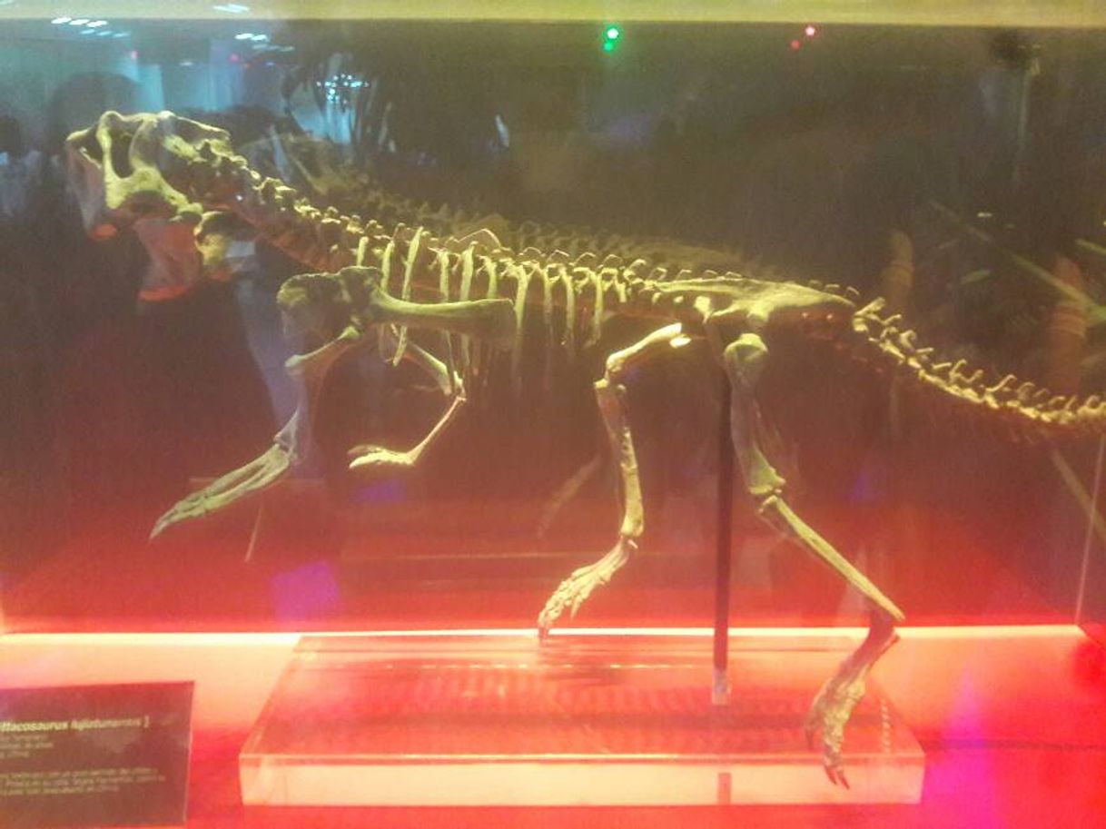 Place Museo del Desierto