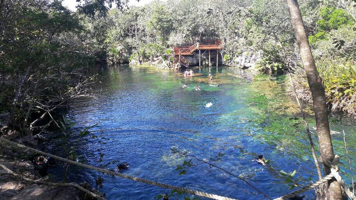 Place Cenote Cristalino