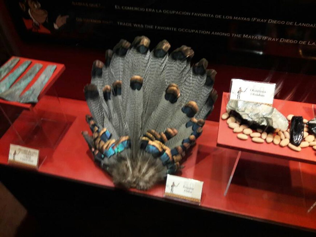 Place Museo Del Chocolate