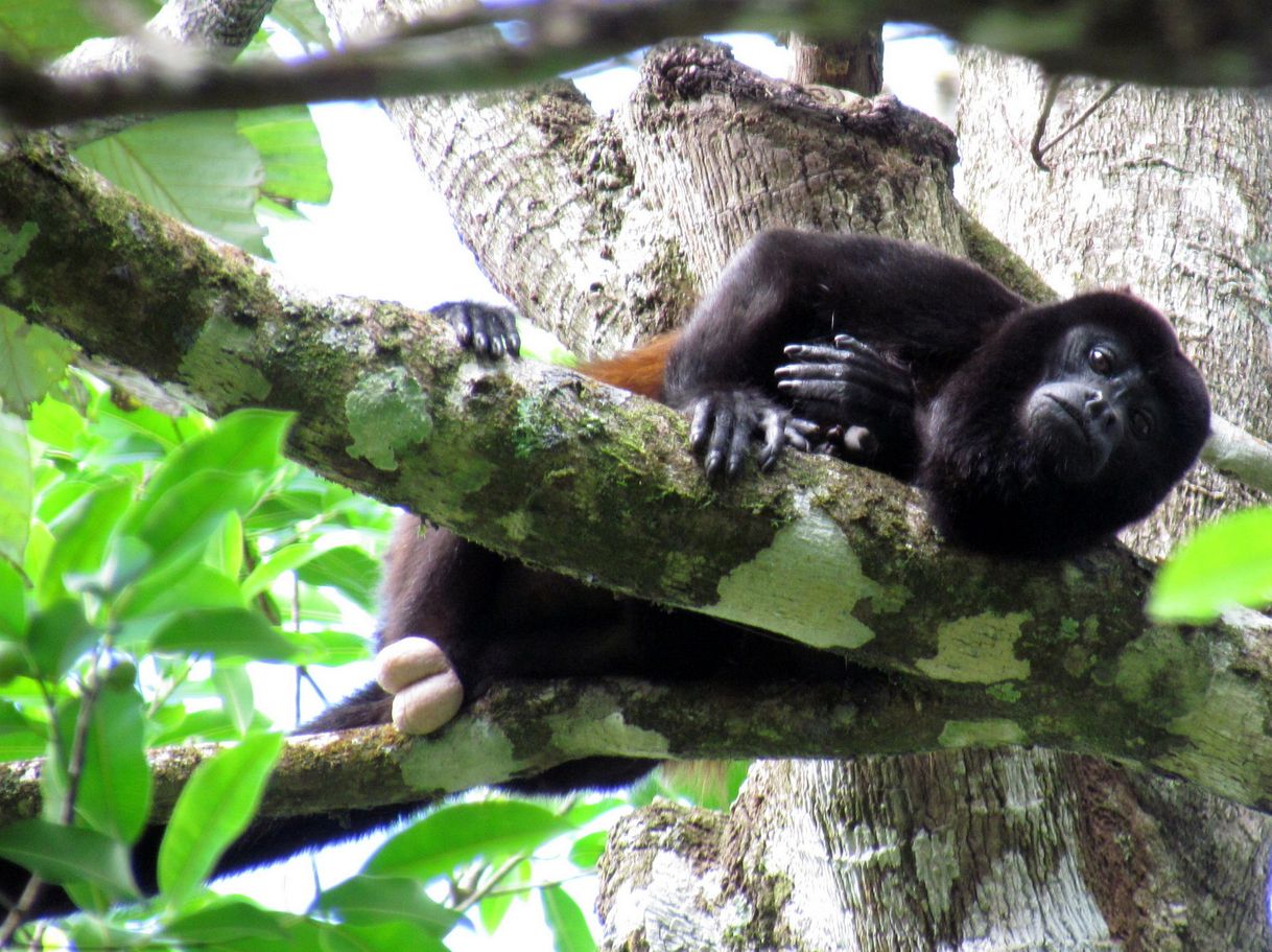 Lugar Manuel Antonio National Park