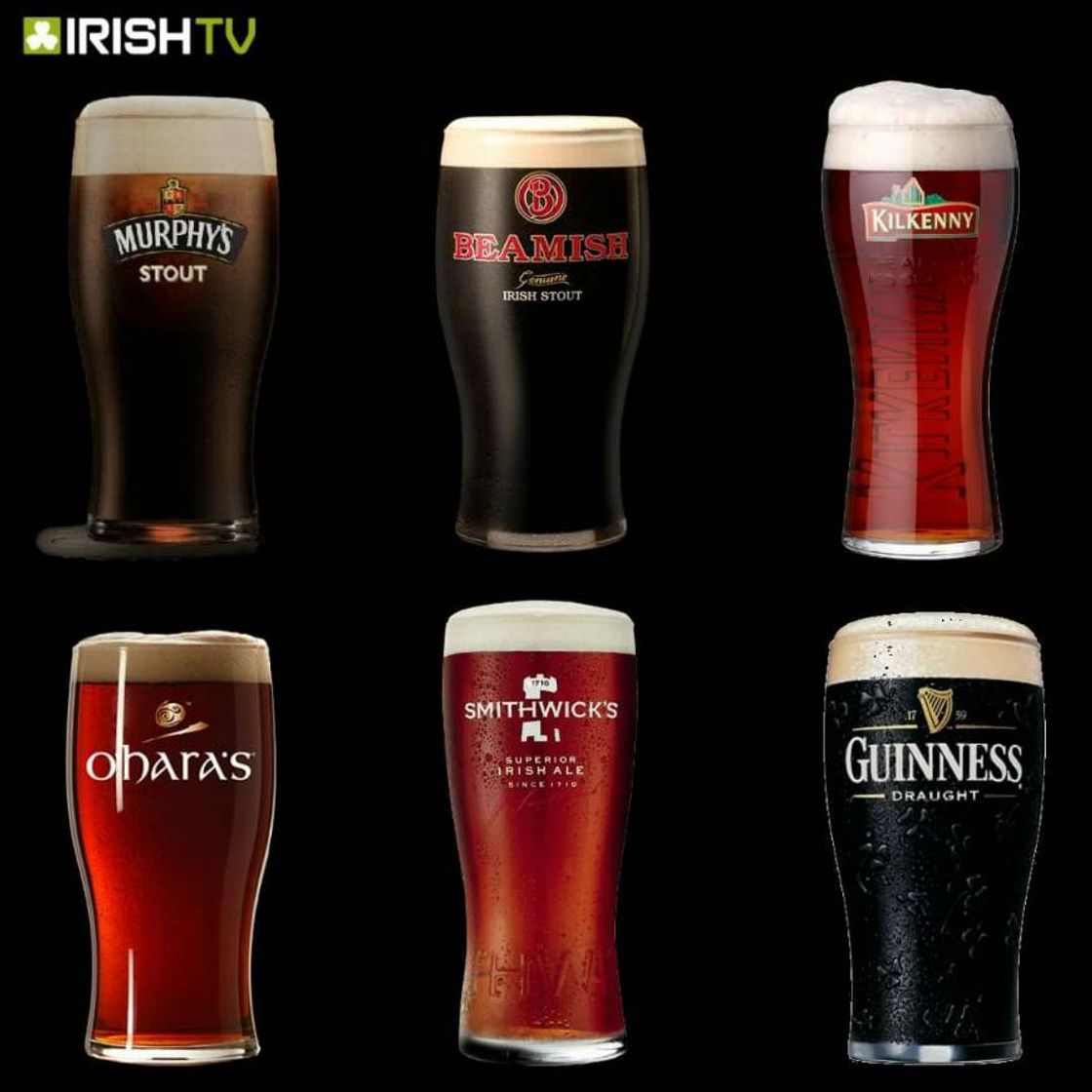 Moda What's tour favourites Irish Pint??