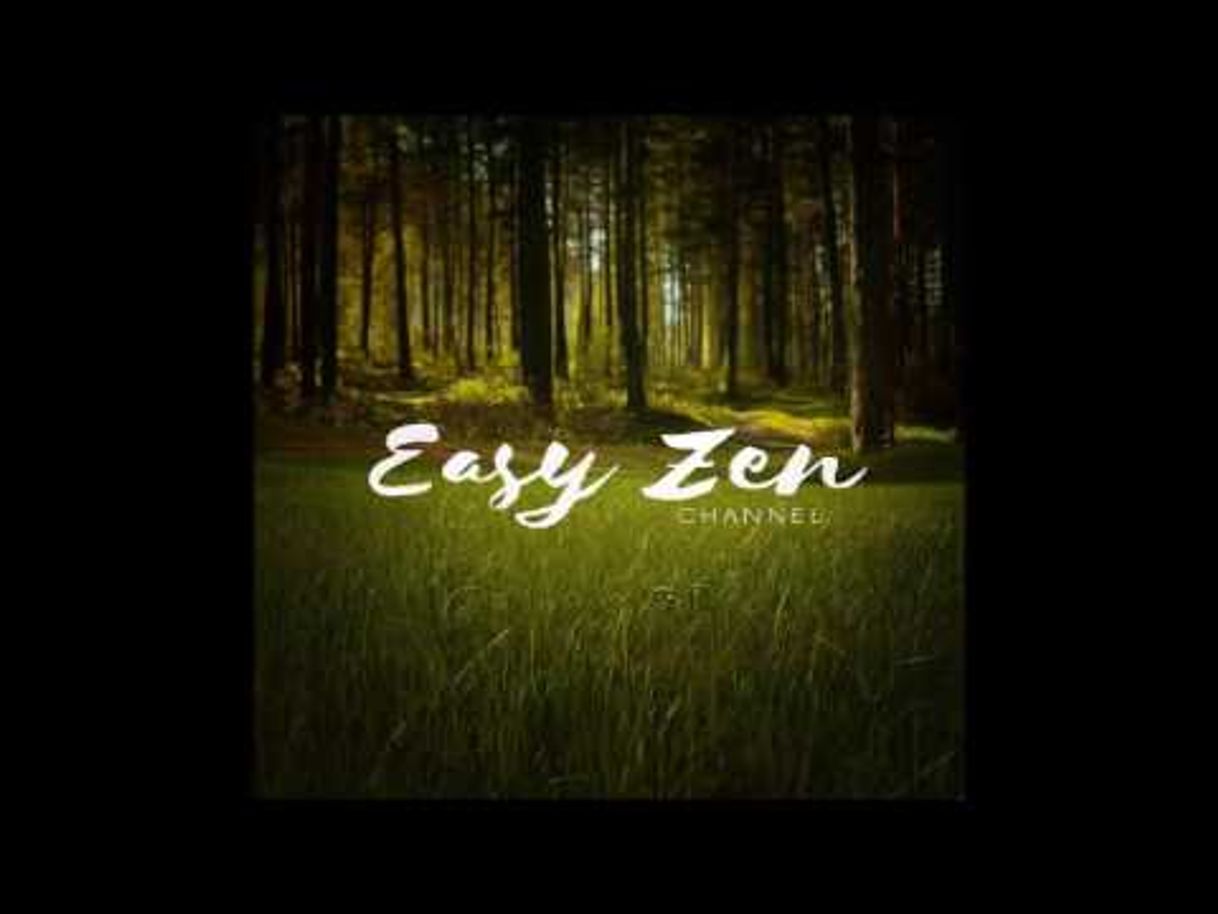 Fashion Easy Zen - 