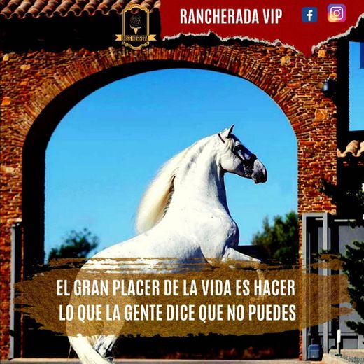 Rancherada Vip