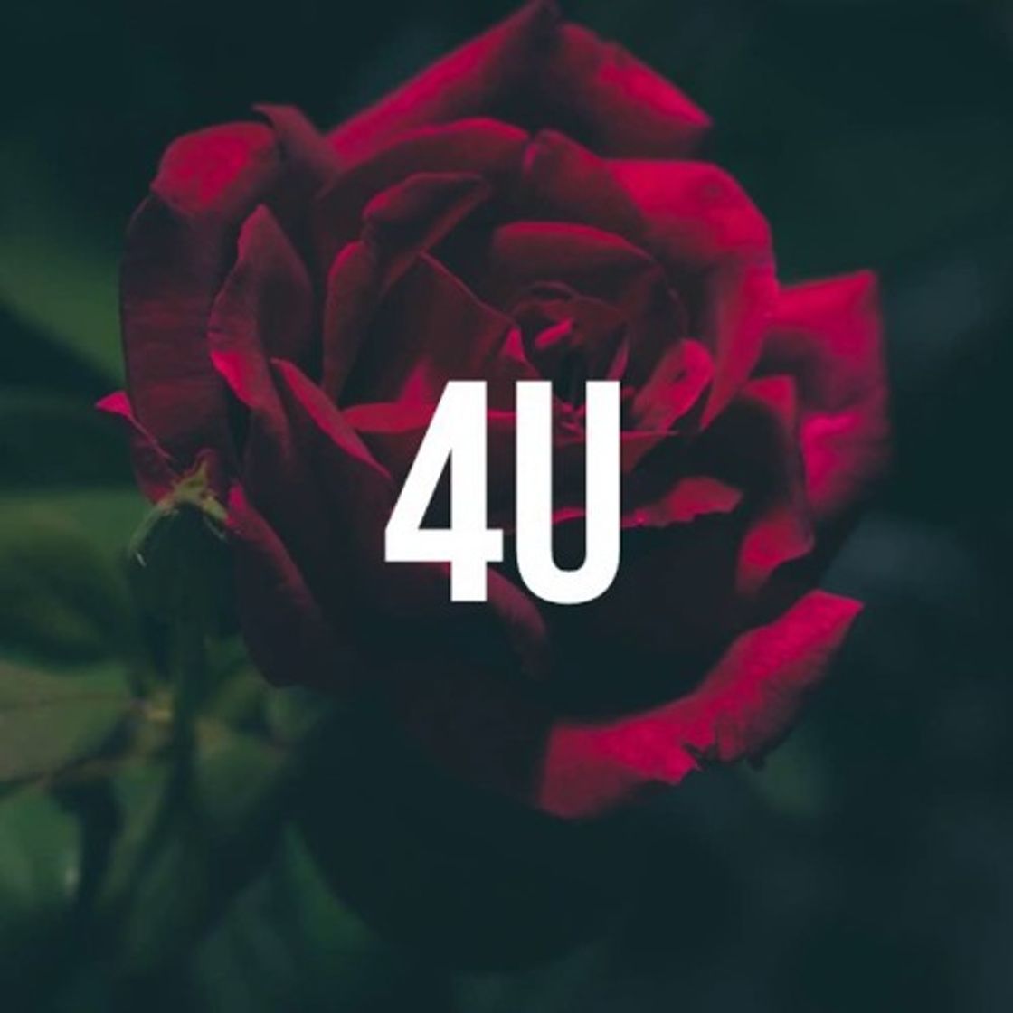 Music blackbear - 4u (Renzyx Remix)