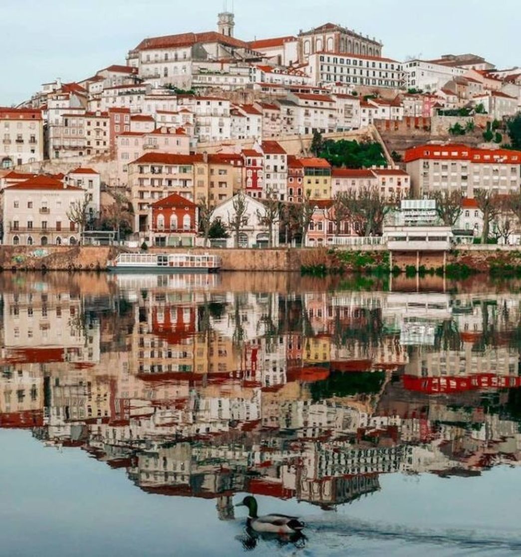 Moda Portugal 