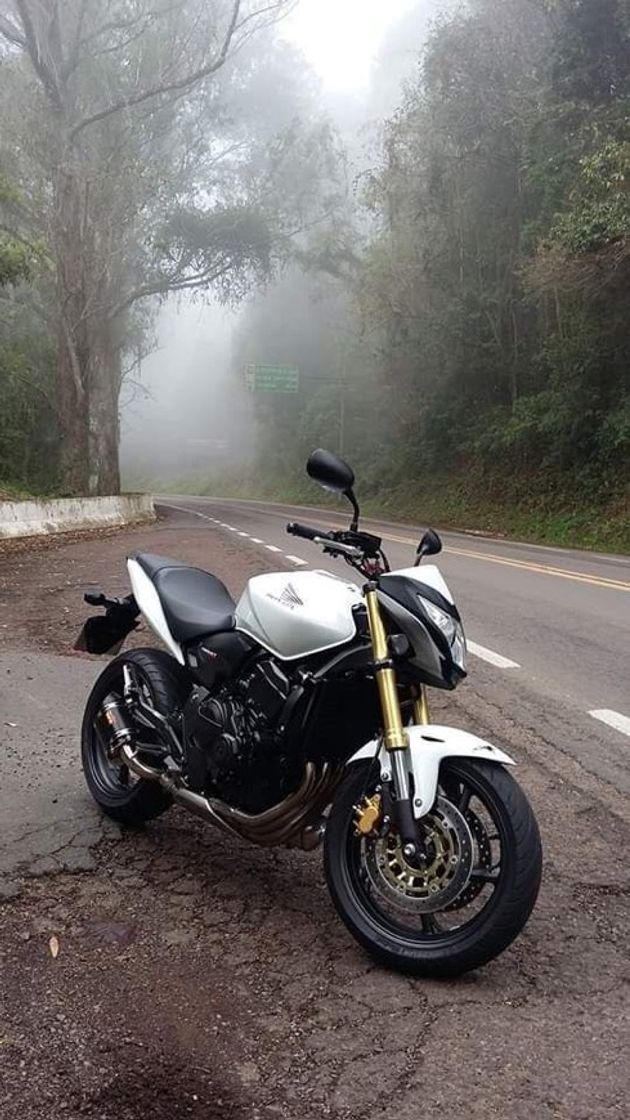 Moda Hornet 😍🏍