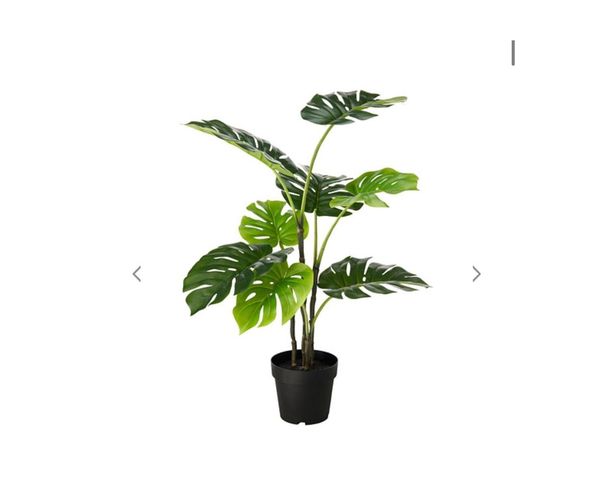 Social Planta artificial 