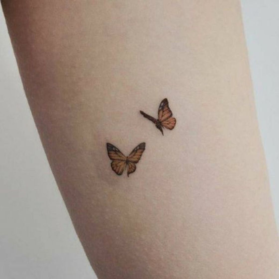 Social Tatuajes 1💙