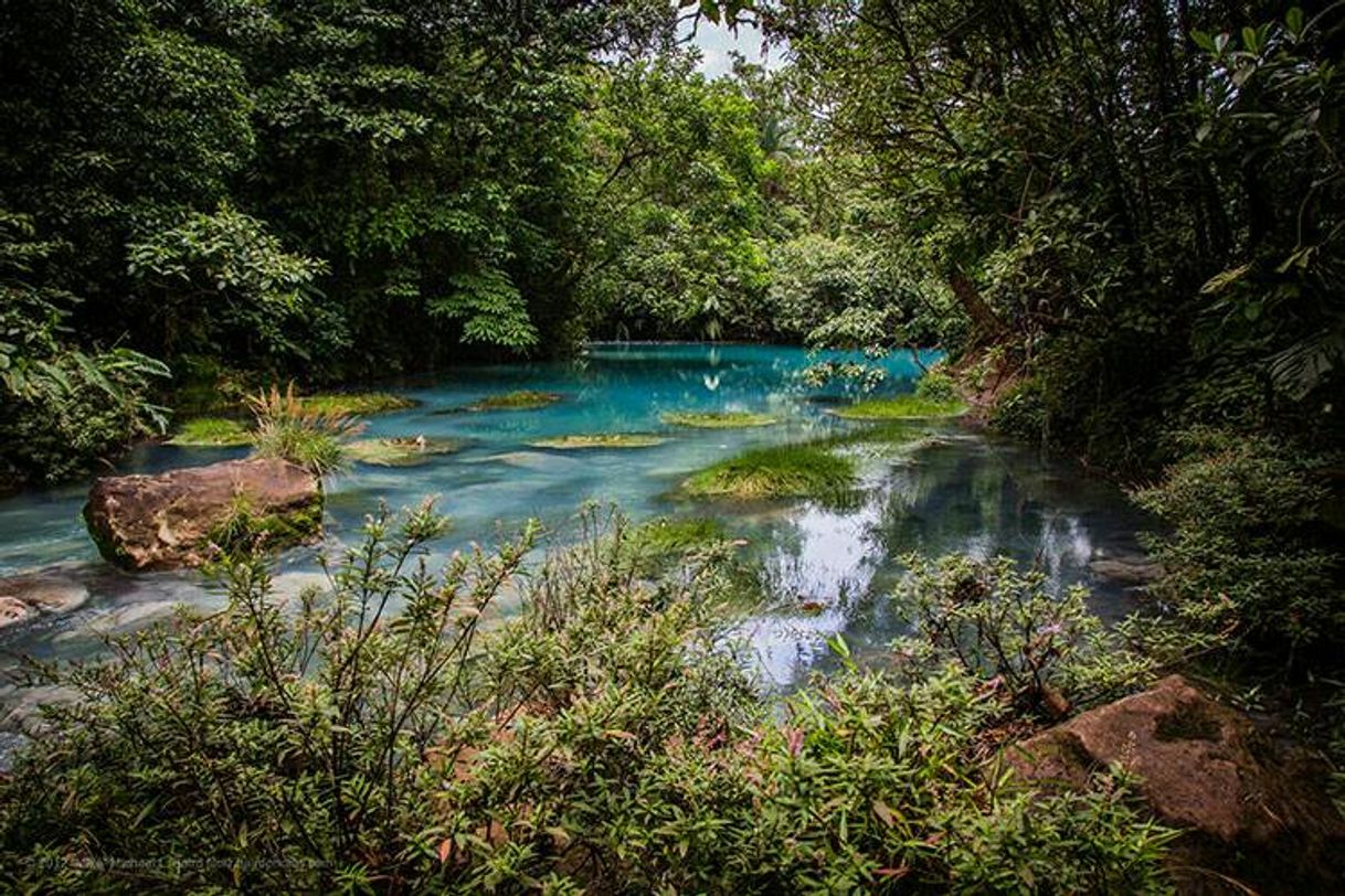 Lugar Río Celeste