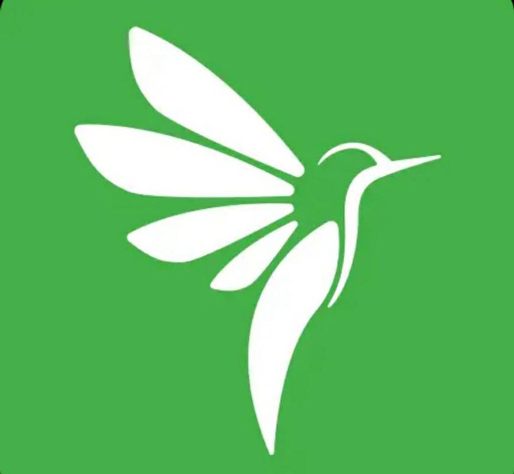 App Piki App Delivery - Google Play پر موجود ایپس