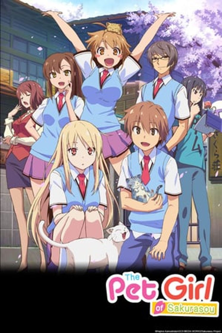 Serie Sakurasou no Pet na Kanojo