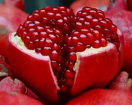 É tempo da Romã: benefícios e características do fruto | Agrotec.pt