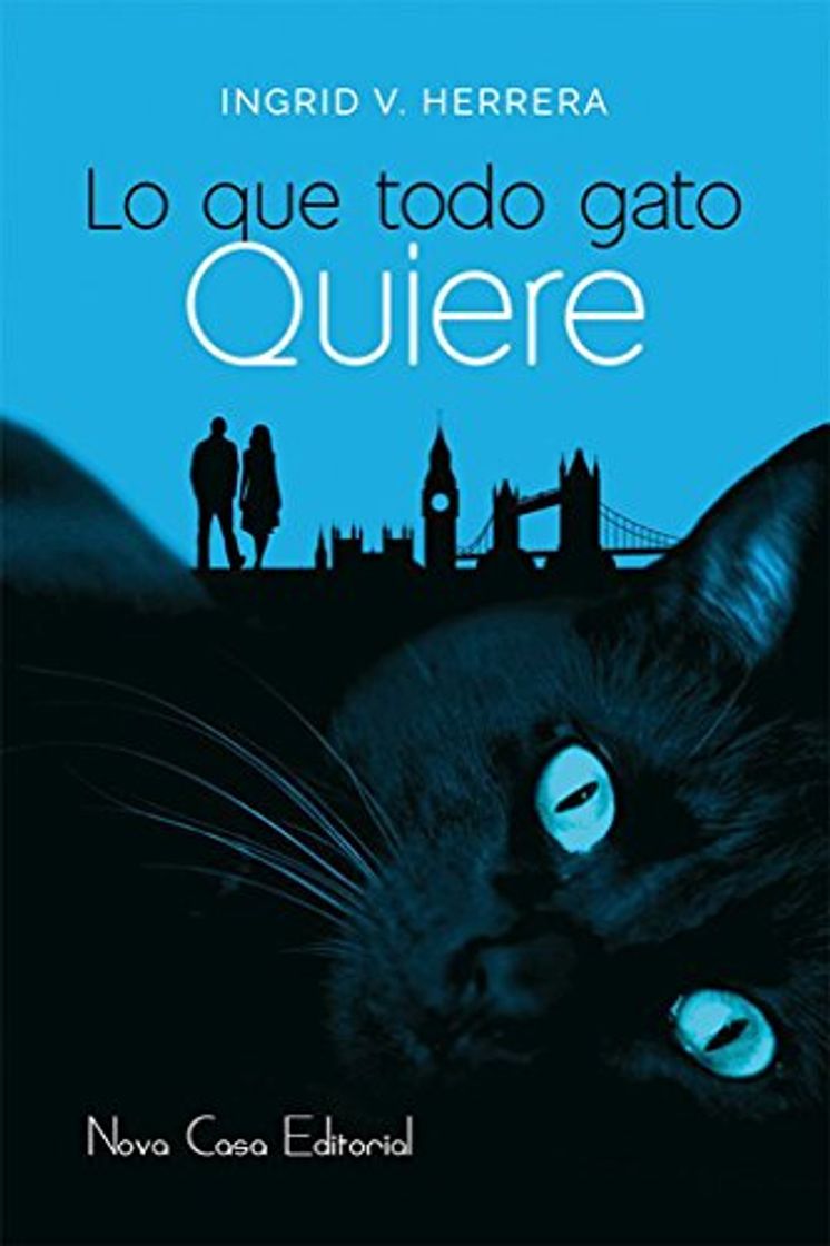 Lo que todo gato quiere