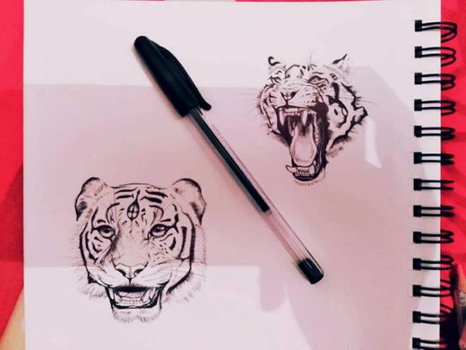 Dibujo - Tigre 🦁