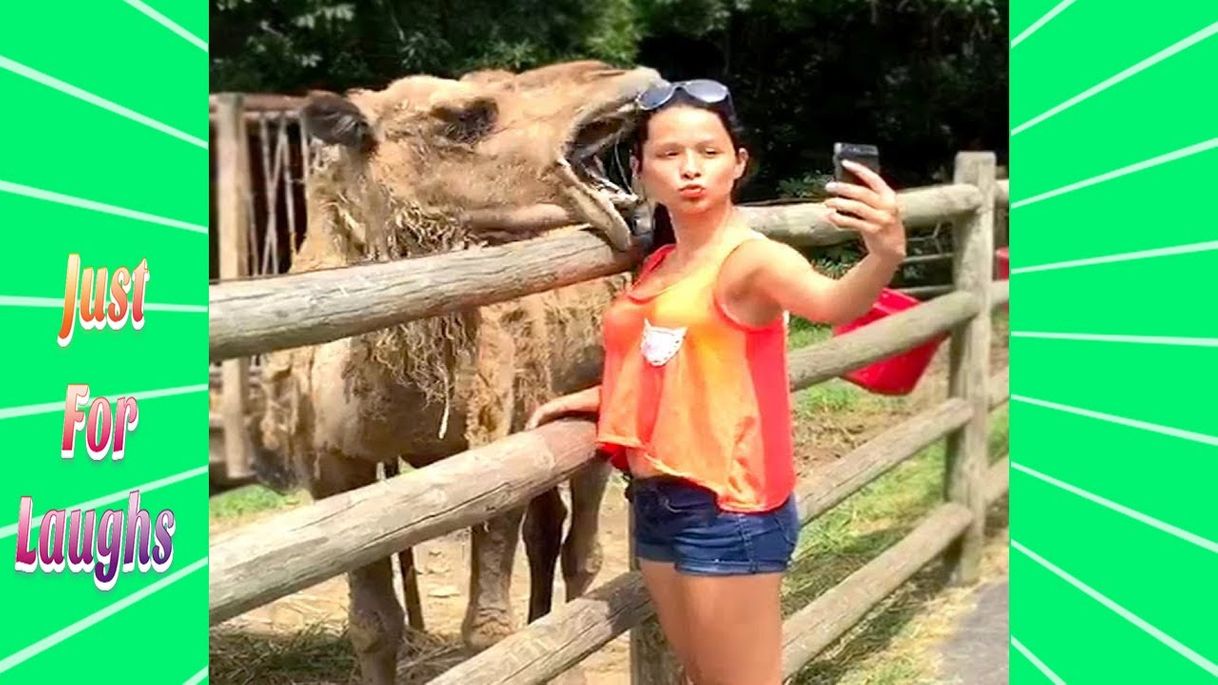 Social Videos De Risa 2020 nuevos 😂 Videos Graciosas 