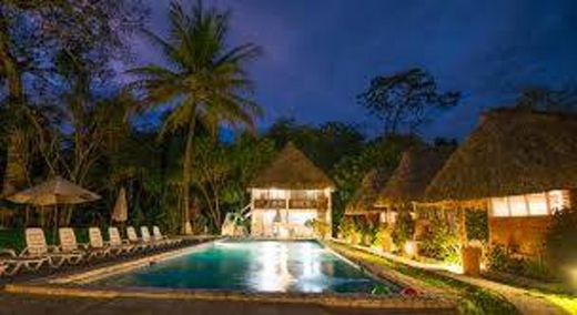 Jungle Lodge Hotel