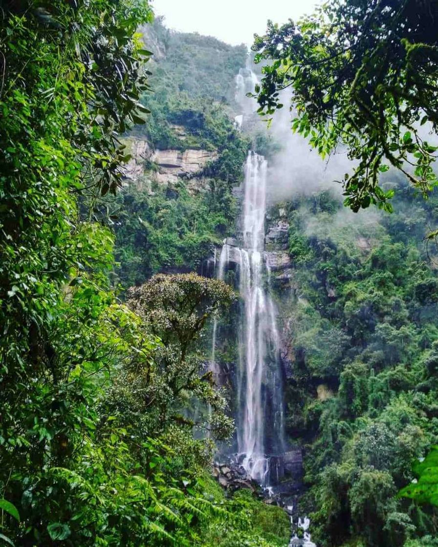 Lugar Cascada la Chorrera