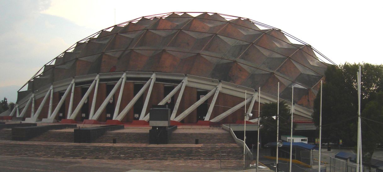 Place Palacio de los Deportes