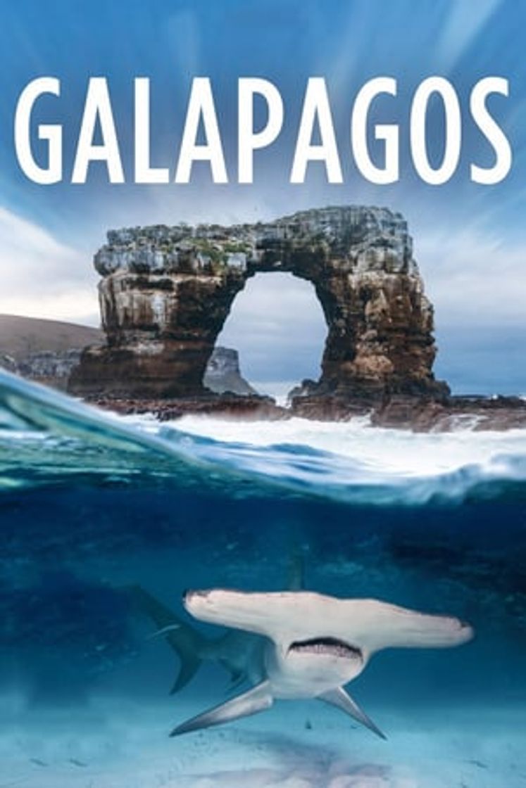 Película Galapagos