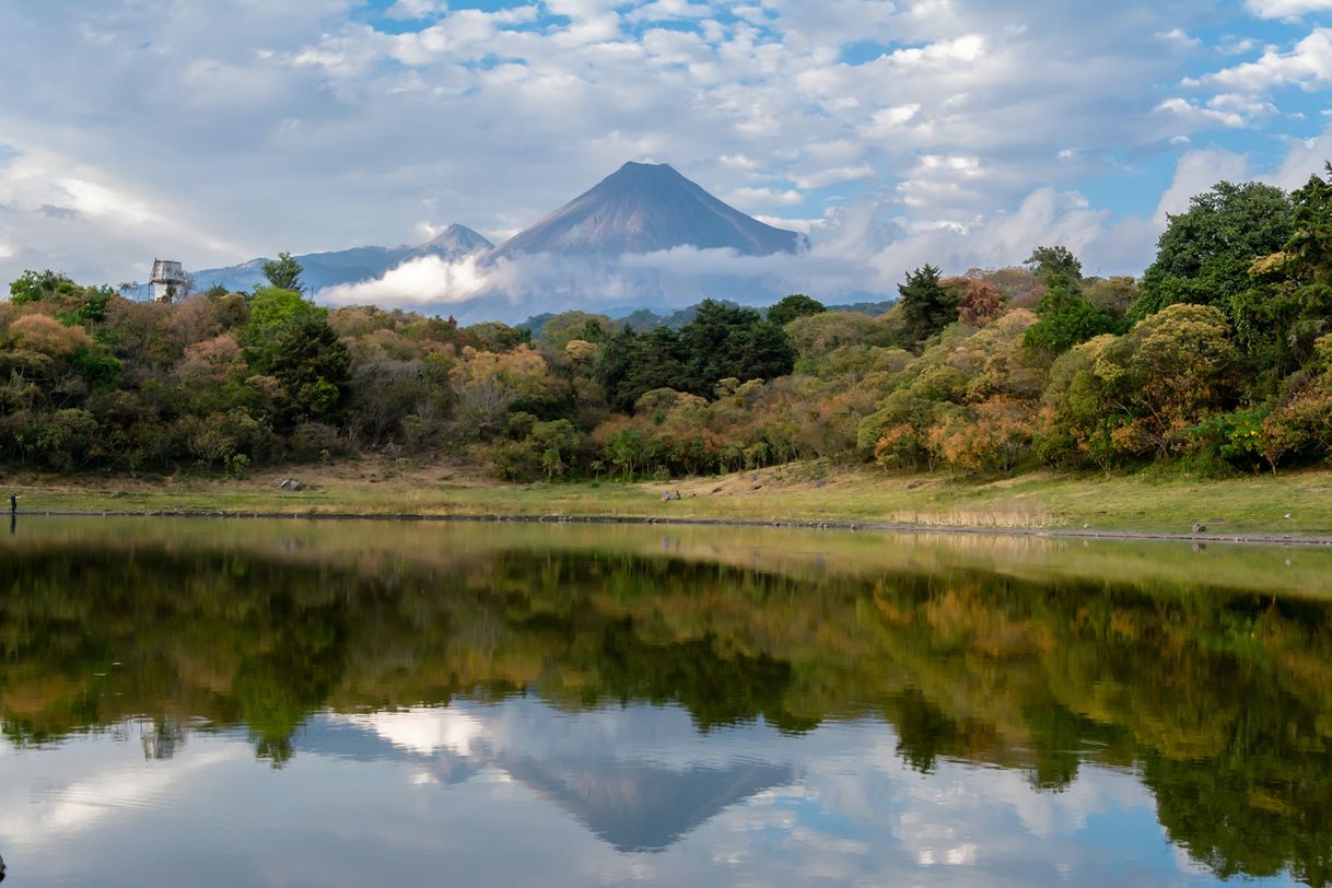 Restaurantes Colima