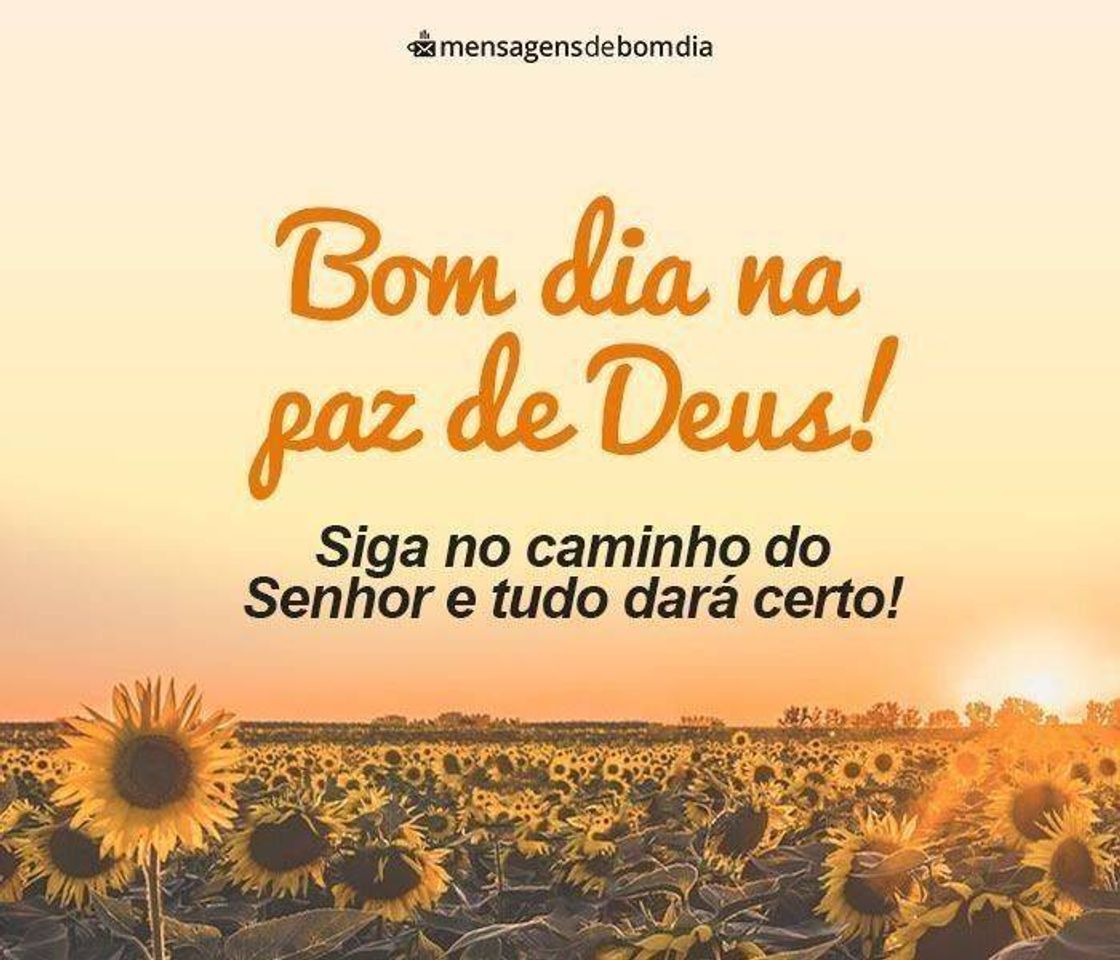 Moda Bom dia!