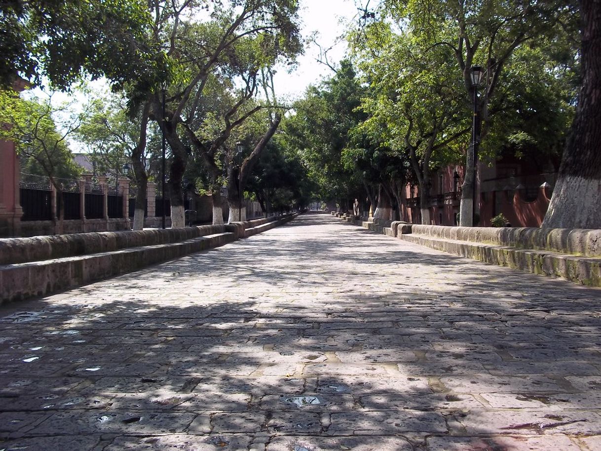 Lugares Calzada Fray Antonio de San Miguel