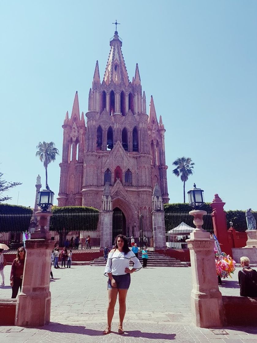 Place San Miguel de Allende