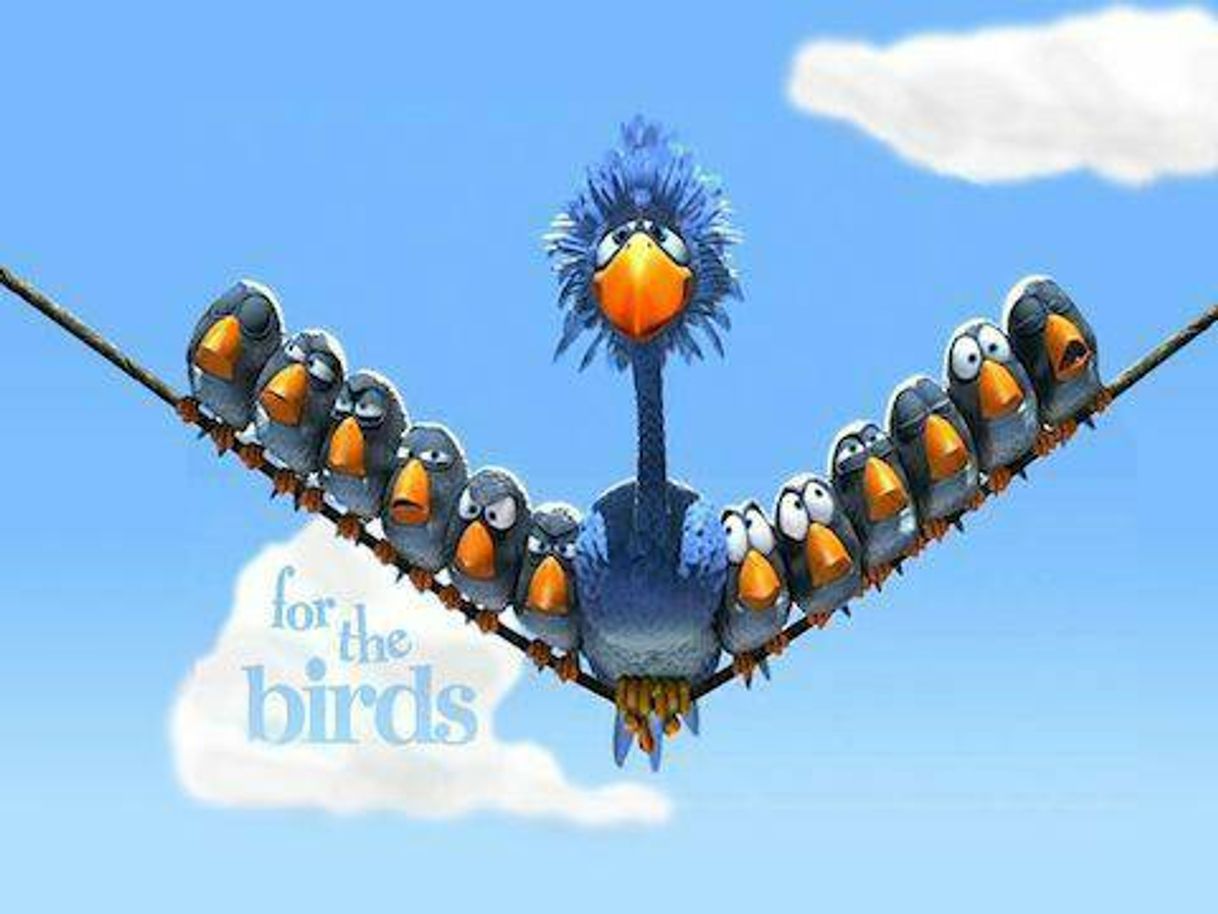 Social for the Birds