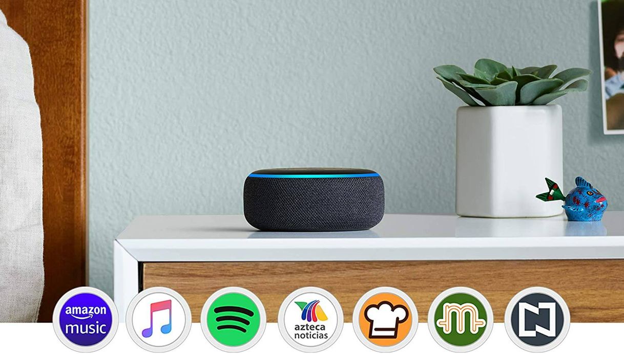 Products Echo Dot