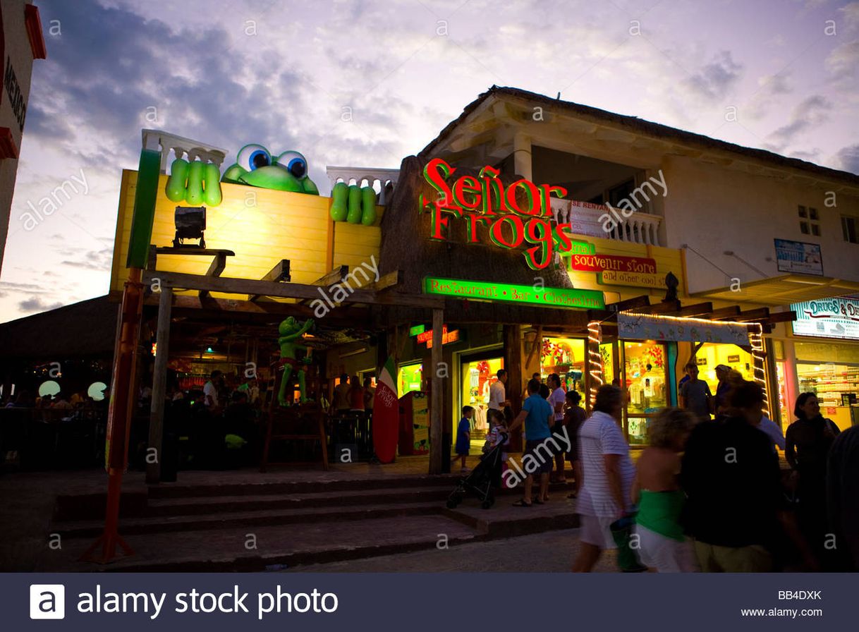 Place Señor Frog's Playa del Carmen
