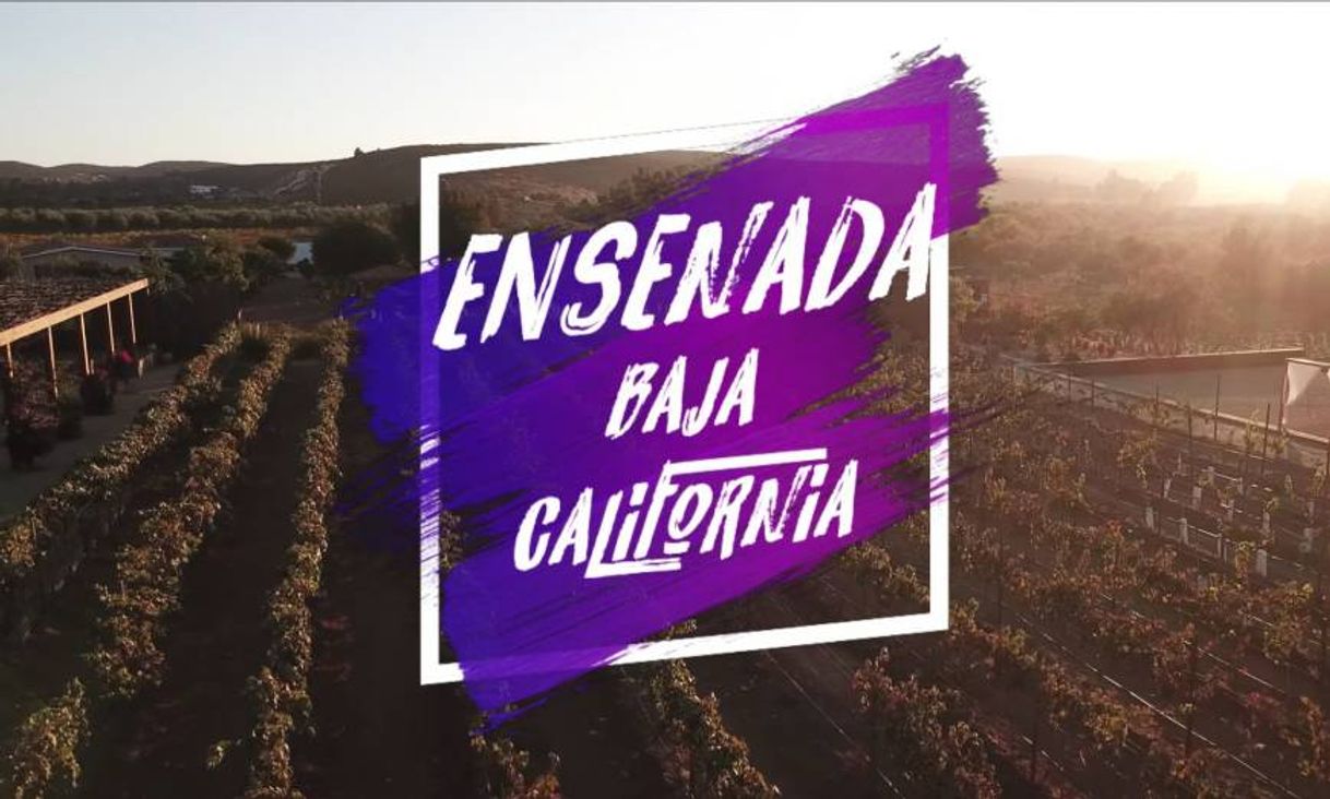 Social Ensenada 
