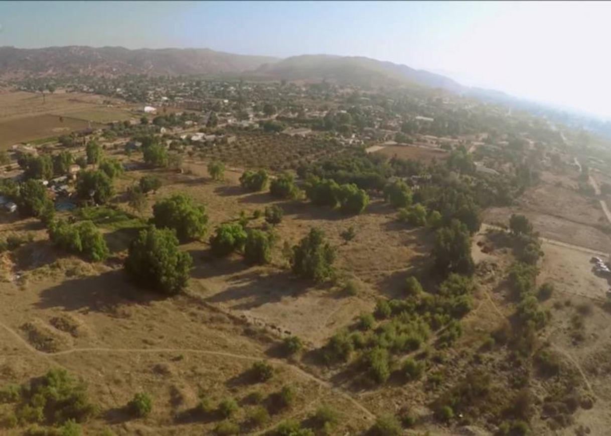 Social Hermoso no te arrepentirás.!! 