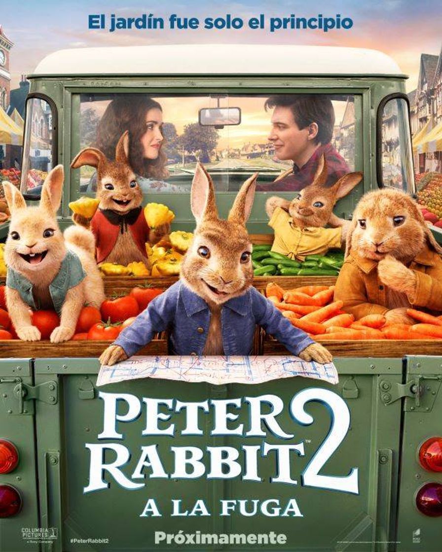 Película Piter Rabit 2