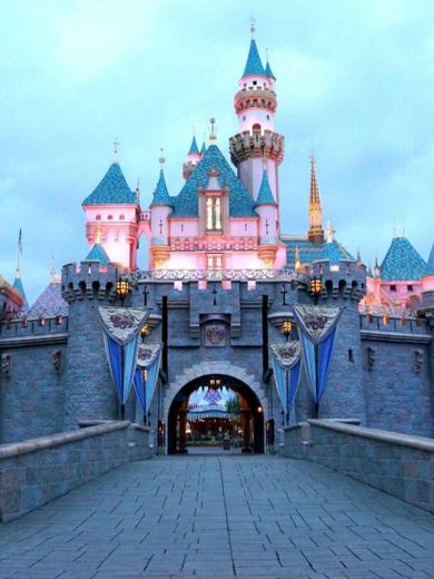 Disneyland Resort