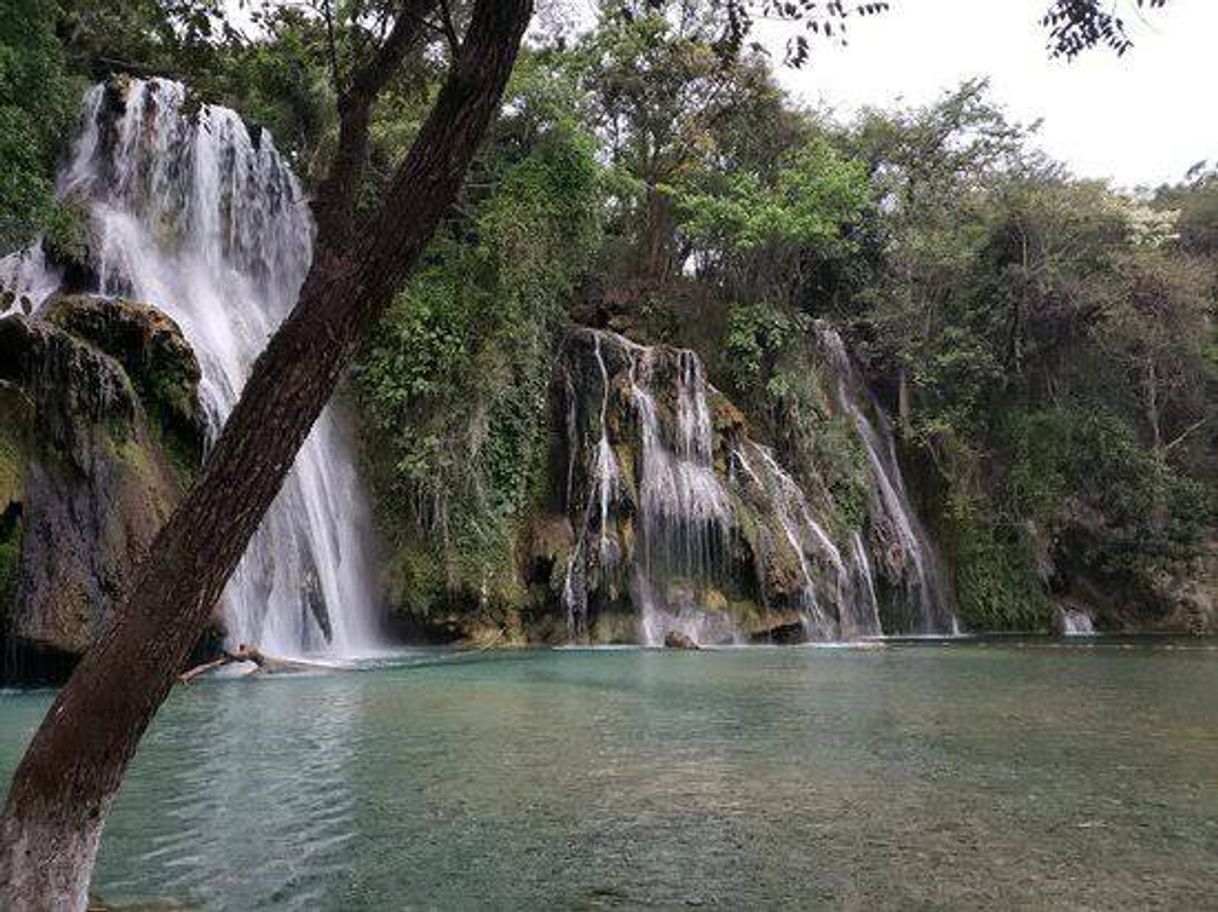 Place Cascadas de Tamasopo