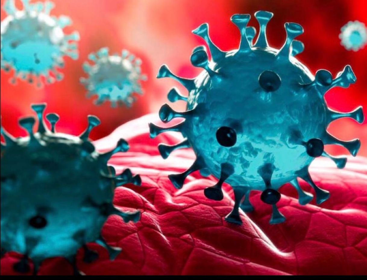 Serie El coronavirus, en pocas palabras