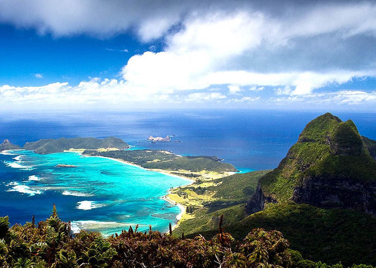 Moda Lord Howe Island