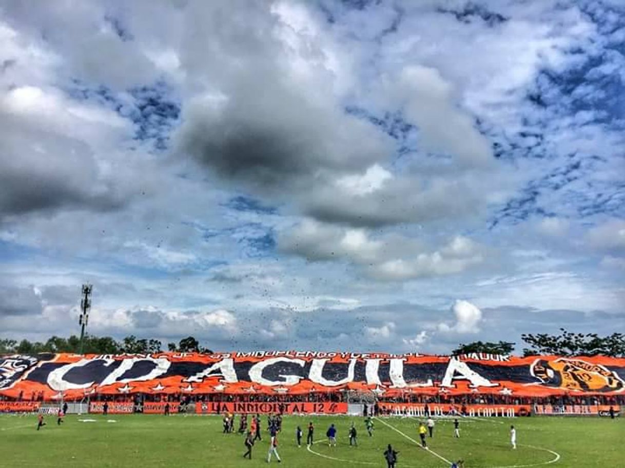 Places Estadio "Juan Francisco Barraza"