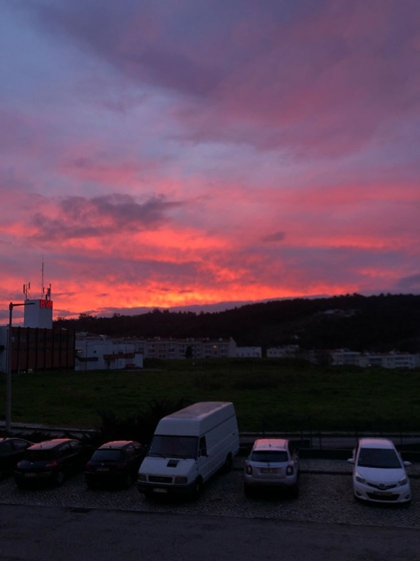 Social Alcobaça, Leiria