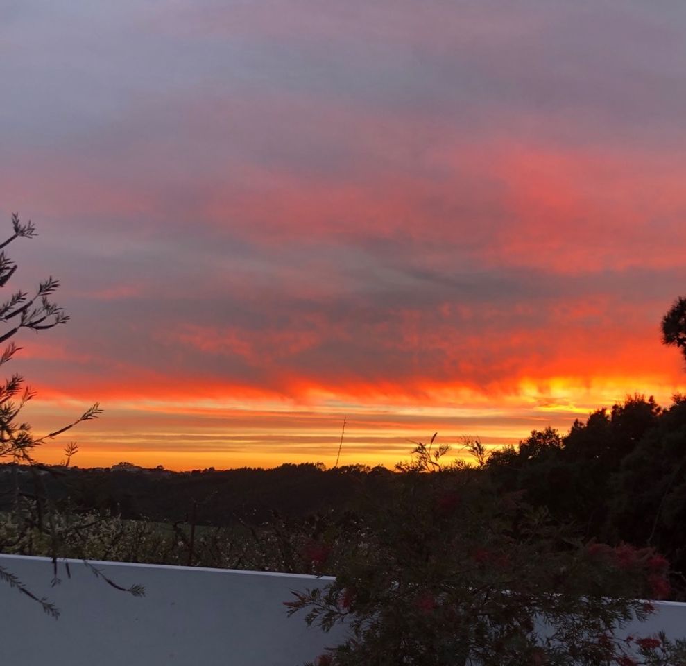 Social São Martinho do Porto