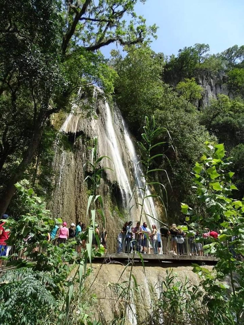 Lugar Cola de Caballo